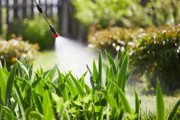 Tamper-Resistant Bait Stations for Rodents in Carrizo Hill