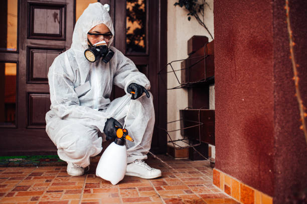 Attic and Crawl Space Rodent Treatment in Carrizo Hill